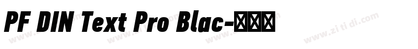 PF DIN Text Pro Blac字体转换